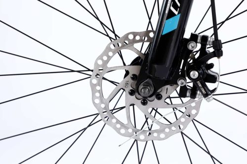 Alternative view of California 100CC