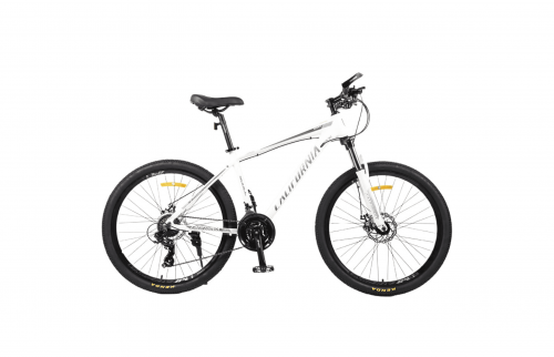 Callifornia 500CC (2022)