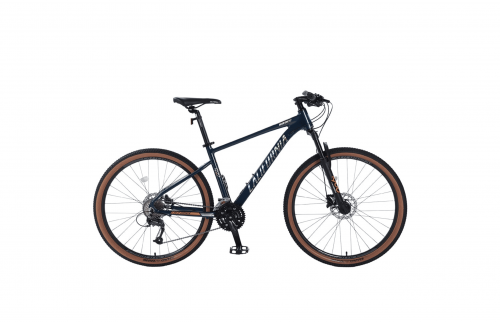 Callifornia 800CC (2022)