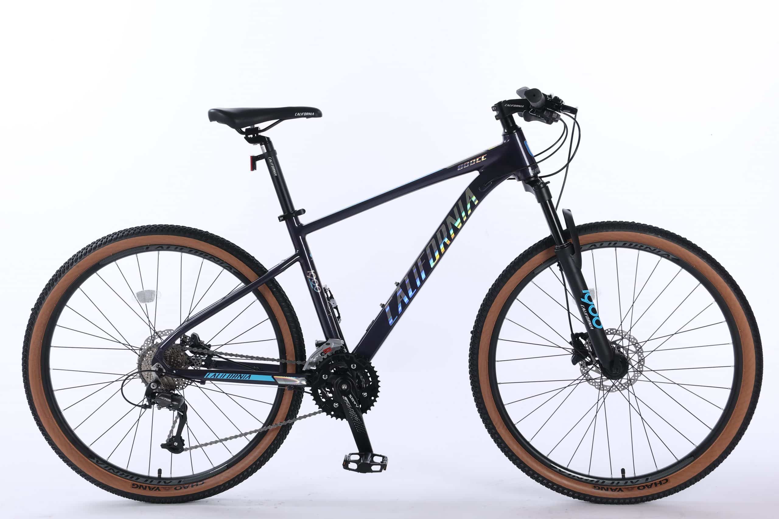 xe-dap-california-800cc-2022-tim-dam-1