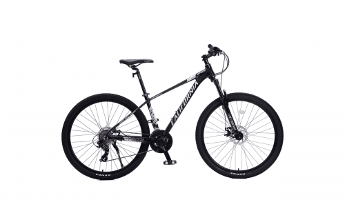 Callifornia 570CC (2022)