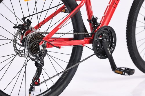 Alternative view of MODELTIME DURIAN (2023)