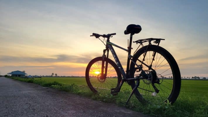 vi-sao-chon-california-calli-dap-xe-xuyen-viet