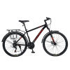 Callifornia 230CC (2024)