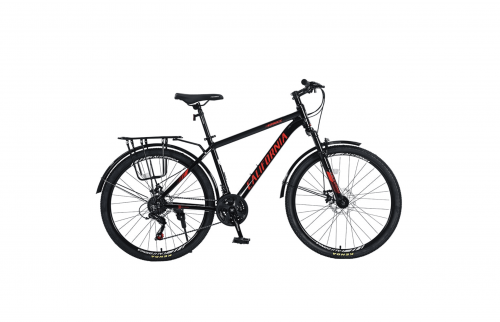 Callifornia 230CC (2024)