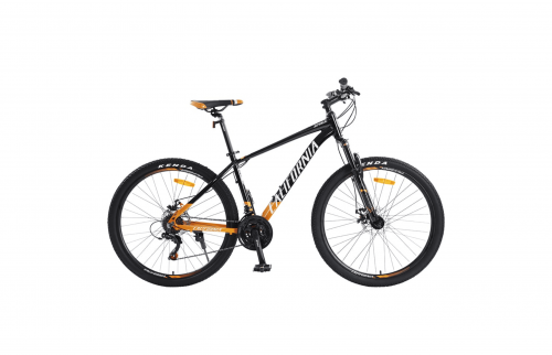 Callifornia 370CC (2024)
