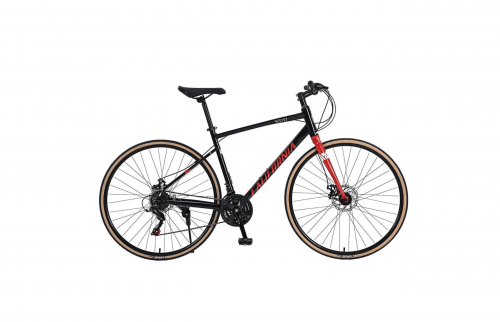Callifornia S570