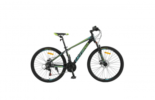 Callifornia 260CC (2024)