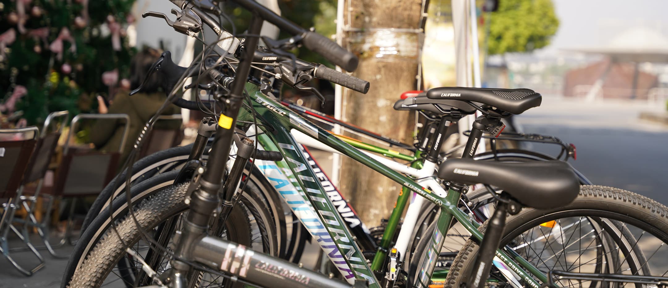 banner-website-california-dai-ly