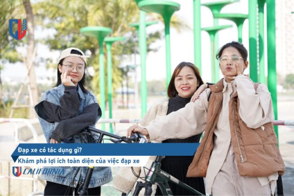 dap-xe-co-tac-dung-gi