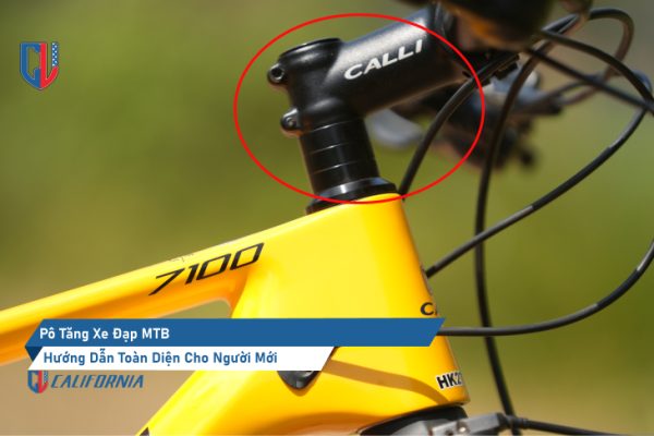 po tang xe dap mtb 10