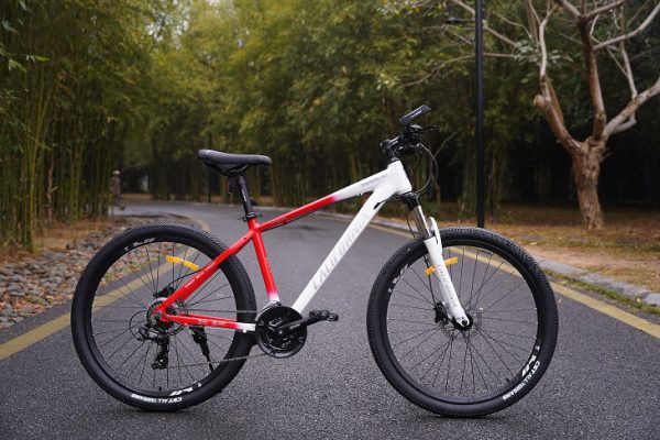 xe dap California 700cc 2022 4