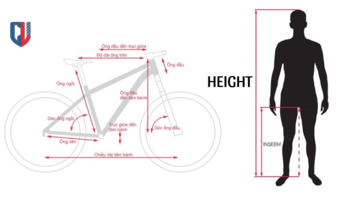 cach-chon-size-xe-dap