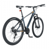 Callifornia-370cc (2)